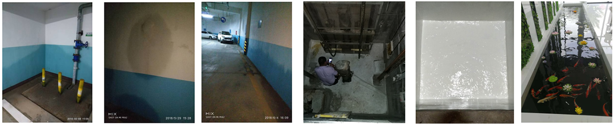 1812ad1d48192764705cfe879fad24ff.jpg 未標題-5.jpg